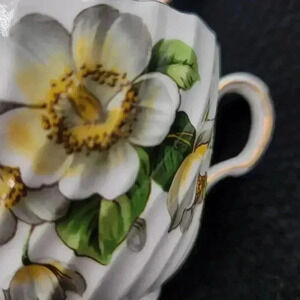 Delicate Aynsley Dogwood Bone China Swirl Tea Cup & Saucer Vintage c1939‎ Rare